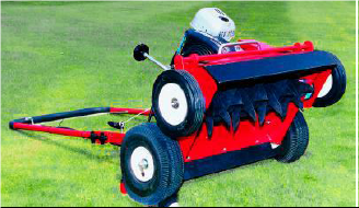 Описание изображения