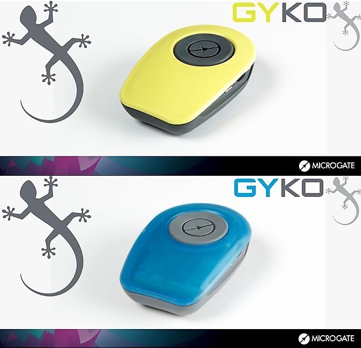 Система измерения Gyko