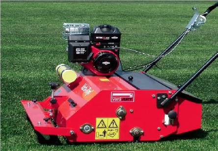 Описание изображения